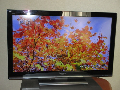 (有難うございました。）Panasonic ビエラ３２型ＴＶ