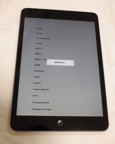 iPad iPad mini