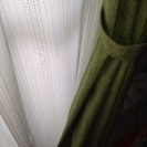 遮光/遮熱/遮像 グリーンのカーテン・レースカーテン