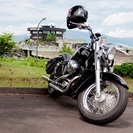 中古＊HONDA＊シャドウ＊車検6月まで＊NC34 | farmaciafrancesa.com.ar