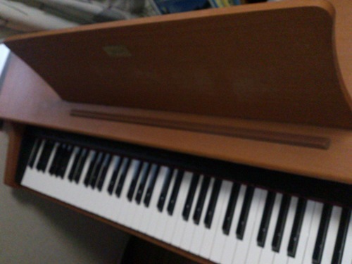 Celviano | CASIO