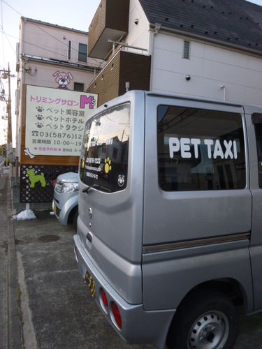 ペットタクシー 大型犬もｏｋです チャコ 愛の父 葛飾のペットサービスの無料広告 無料掲載の掲示板 ジモティー