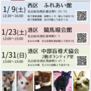 1月31日 猫の譲渡会 名古屋市港区　みなと猫の会主催 - イベント