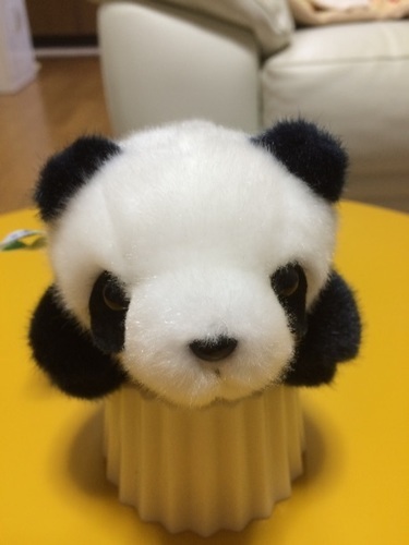パンダの可愛いぬいぐるみ 小 ももんが 姫路のおもちゃ ぬいぐるみ の中古あげます 譲ります ジモティーで不用品の処分