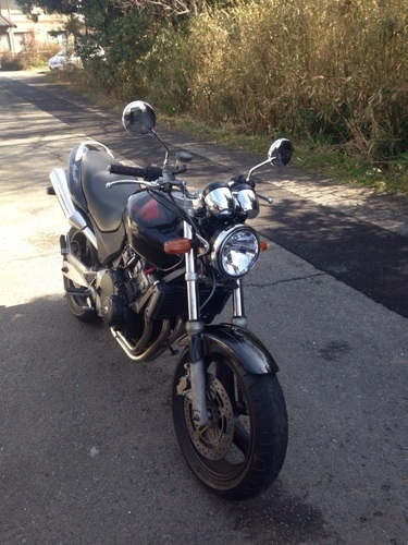 ホーネット250