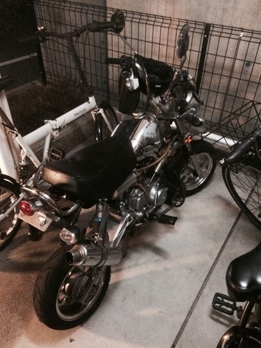 50cc ゴリラ？