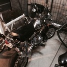 50cc ゴリラ？