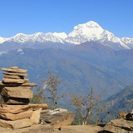（日程変更）　初心者向け　はじめてのヒマラヤ展望ハイキング　ネパールの国花　山一面のシャクナゲを見に行こう − 東京都