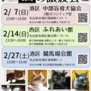 2月14日（日） 猫の譲渡会 名古屋市西区ふれあい館 みなと猫の会主催