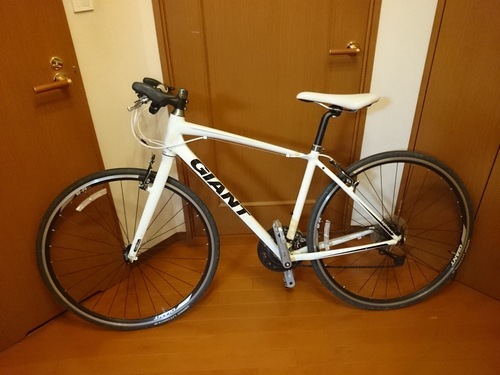ＧＩＡＮＴ ESCAPE RX3 2011 Ｓサイズ　中古　室内保管