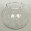 【中古】交渉中・ガラス水槽（テラリウムポット）