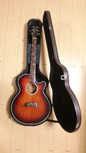 タカミネ エレアコ アコースティック ギター PT-106