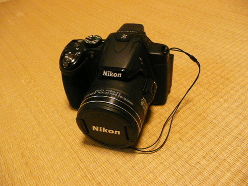 Nikon COOLPIX P520★光学42倍ズーム/1808万画素/フルHD動画/予備バッテリー付き