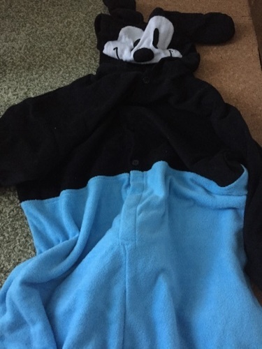 オズワルド着ぐるみ Fuji 町田のその他の中古 古着あげます 譲ります ジモティーで不用品の処分