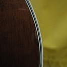 Takamine タカミネ エレアコ PT-508