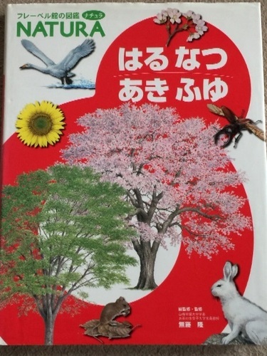リバーシブルタイプ フレーベル館図鑑ナチュラ 10冊プラス4冊 | www