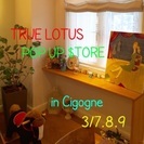 TRUE LOTUS POP UP $TORE★FASHION ...