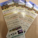 館山ファミリーパーク招待券 送料無料 たてやま千里の風 割引券4...