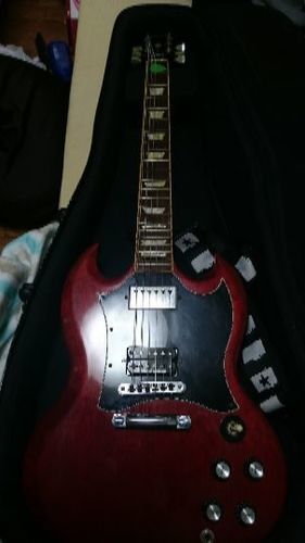 ｷﾞﾌﾞｿﾝ SG standard
