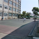 　横浜市南区のテニスサークル、初中級クラスの女性メンバー・中級クラスの女性メンバー募集中です！　永田中学校（井土ヶ谷・弘明寺・保土ヶ谷・東戸塚近く）のテニスコートをお借りして、練習をしています。 - スポーツ
