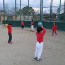 野球とジュニアトレーニング教室の画像