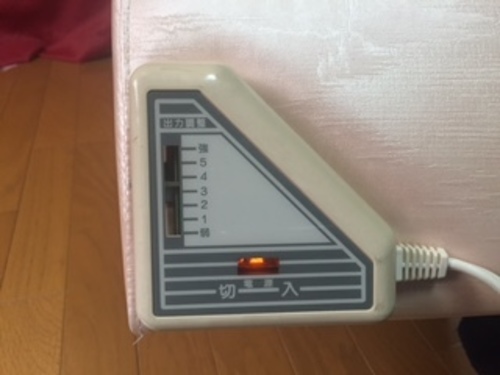 遠赤外線ドーム