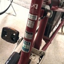 アンジェリーノミニアシスタ＊22/23インチ