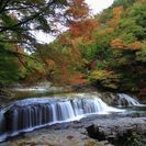 初心者歓迎!写真サークル − 宮城県