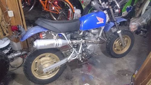 エイプ50実働車
