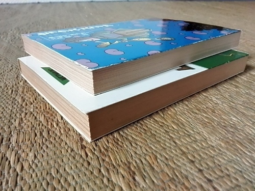 Sf小説 ルーディ ラッカーの作品2冊セット まったりらいふ 高砂の文芸の中古あげます 譲ります ジモティーで不用品の処分