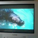 三菱ブラウン管テレビ2001年21型21C-L33