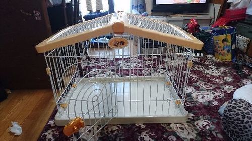 商談中☆美品☆アイリスオーヤマ ハウスケージ【HCA-800】HOUSE CAGE イエロー