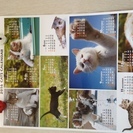 猫 カレンダー ポスター
