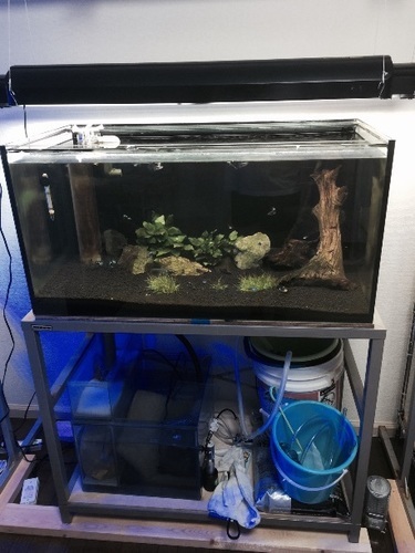 90cmオーバーフロー水槽