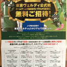 残りわずか！サッカーチケット☆東京ヴェルディ