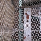 電動アシスト三輪車(パナソニック)