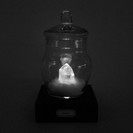 【終了】天然水晶 クオーツ 鉱物標本調 LED ランプ ライト ...