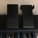 ヤマハ  ステージア  ELS-02c