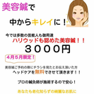 美顔鍼４月・５月限定キャンペーン