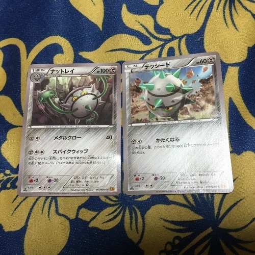 ポケモンカード 鉄タイプ 2枚 ぼらん 川越のカードゲーム トレーディングカード の中古あげます 譲ります ジモティーで不用品の処分 ポケモンカード 鉄タイプ 2枚 ぼらん 川越のカードゲーム トレーディングカード の中古あげます 譲ります ジモティーで不用品の処分