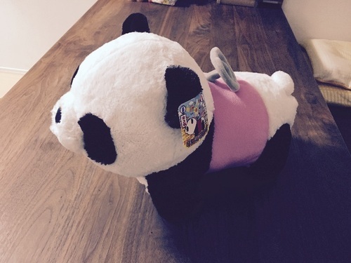 限定最安値 ぬいぐるみ パンダ 乗り物 d 安い質屋 Www Cfscr Com