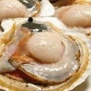 激安‼︎北海道野付半島産 天然活大ホタテ