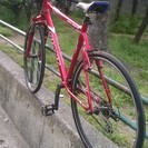 ジャイアント 700c