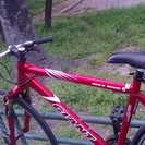 ジャイアント 700c