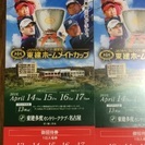 東建ホームメイトカップ１日入場券２枚