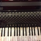 値下げしました。【多少傷あり／音確認済】バロンブリーニ　BB-96C