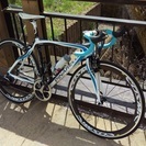 ピナレロ プリンス フレームセット