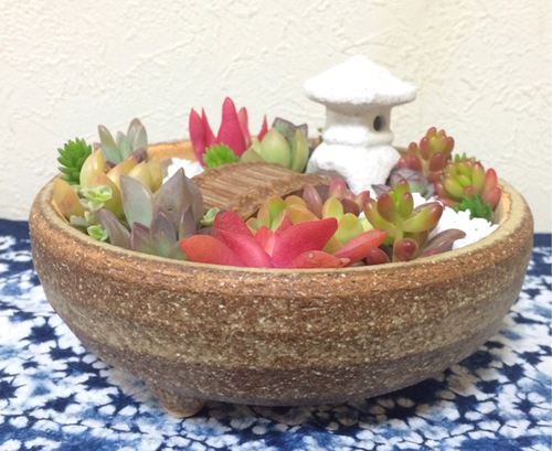 和風鉢寄せ植え 箱庭 多肉植物 5号鉢 チャロ 筑紫のその他の中古あげます 譲ります ジモティーで不用品の処分
