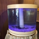 大型生簀 水槽 業務用