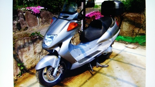 商談中ホンダフォーサイト250ＭＦ04Ｅ